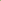 Iguana Green Pattern Geometric Print