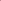 Cherrywood And Solid Pink Polka Dots Print